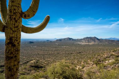Mesa, Arizona 'da doğaya bakış açısı
