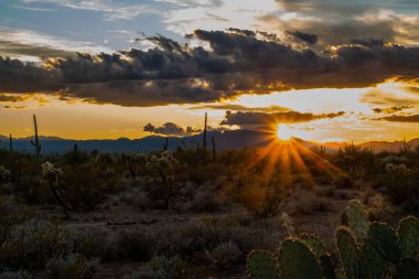 Parkta alacakaranlıkta renkli bir bulutun üzerinde gün batımı