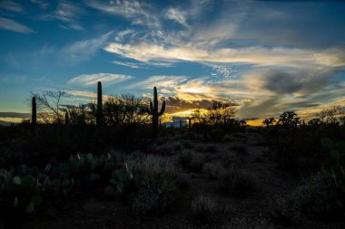 Parkta alacakaranlıkta renkli bir bulutun üzerinde gün batımı