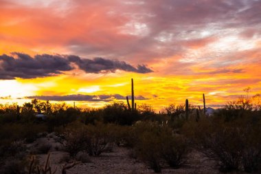 Parkta alacakaranlıkta renkli bir bulutun üzerinde gün batımı