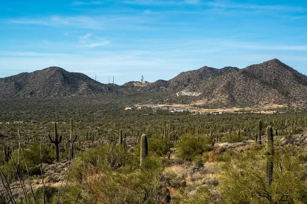 Una Vista Naturaleza Mesa Arizona —  Fotos de Stock