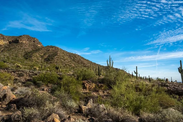 Overlooking View Nature Mesa Arizona — Stock Photo, Image