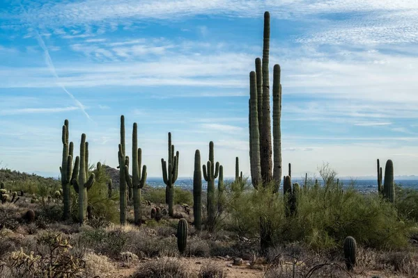 Overlooking View Nature Mesa Arizona — Stock Photo, Image