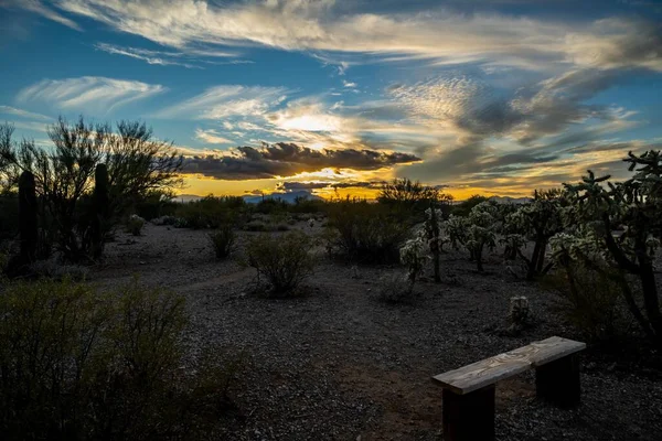 Puesta Sol Sobre Colorido Paisaje Nublado Crepúsculo Parque —  Fotos de Stock