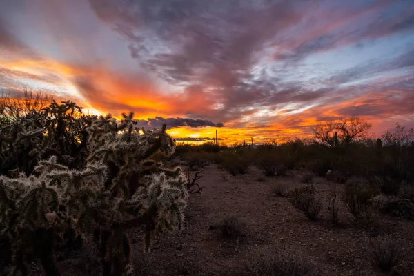 Zonsondergang Boven Een Kleurrijk Wolkenlandschap Schemering Het Park — Stockfoto