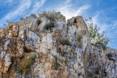 Tucson, Arizona 'da doğaya bakış açısı