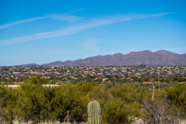 Tucson, Arizona 'da doğaya bakış açısı