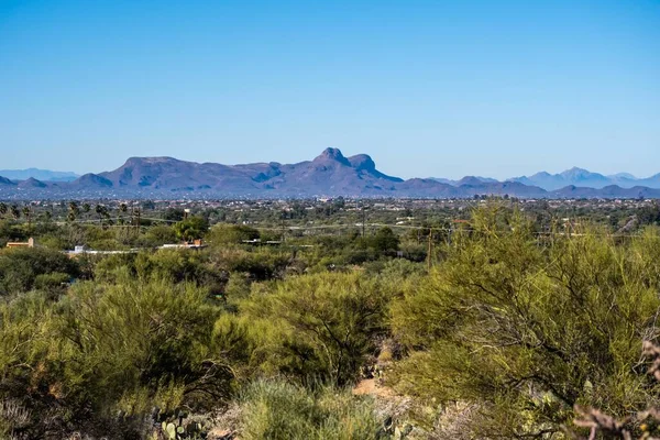 Una Vista Sulla Natura Tucson Arizona — Foto Stock