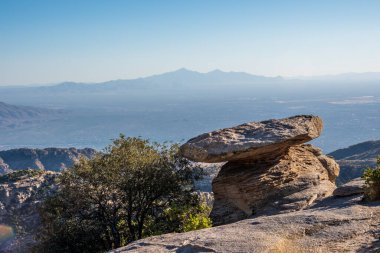 Tucson, Arizona 'da doğaya bakış açısı