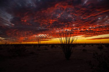 Yuma, Arizona dramatik canlı günbatımı manzara