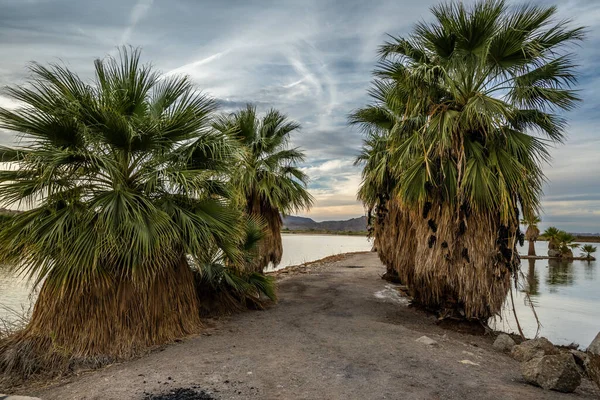 Arizona Yuma Güzel Bir Doğa Manzarası — Stok fotoğraf