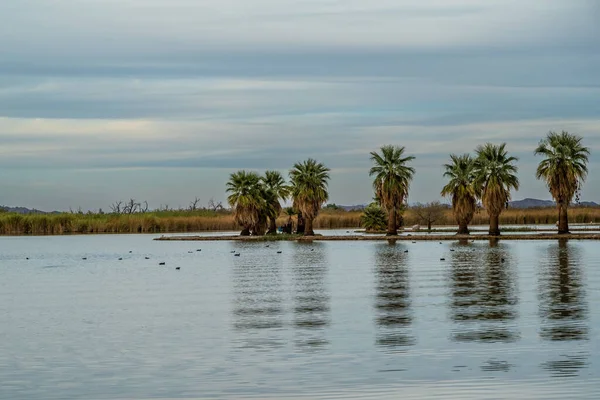 Arizona, Yuma 'da güzel bir doğa manzarası.