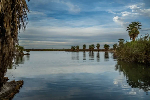 Arizona, Yuma 'da güzel bir doğa manzarası.