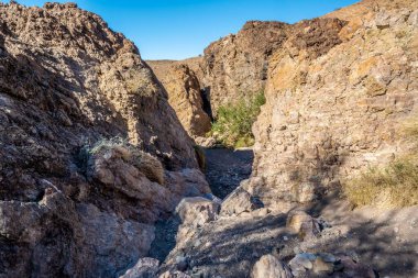 Arizona, Yuma 'da doğaya bakış açısı