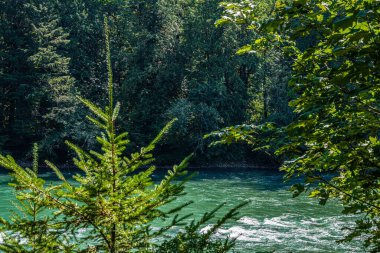 Kuzey Cascades NP, Washington manzarası