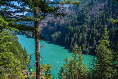 Kuzey Cascades NP, Washington manzarası