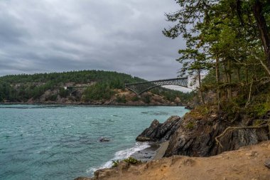 Washington 'daki Whidbey Adası manzarası