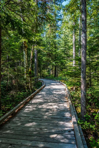 Kuzey Cascades NP, Washington 'daki manzara muhteşem.