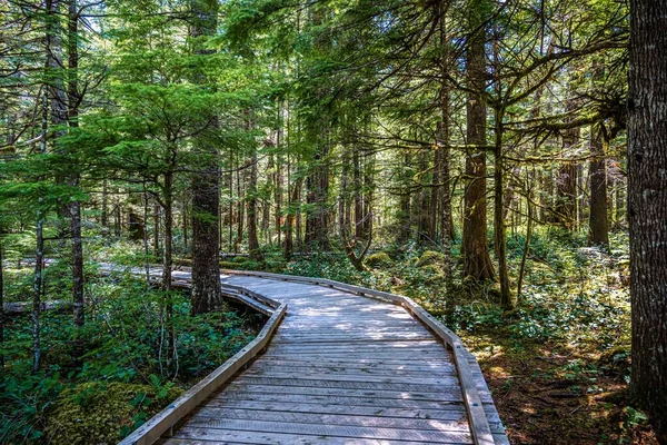 Een Prachtig Uitzicht Het Landschap North Cascades Washington — Stockfoto