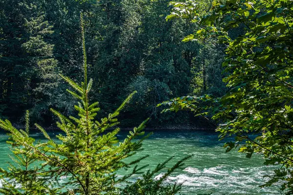 Kuzey Cascades NP, Washington manzarası