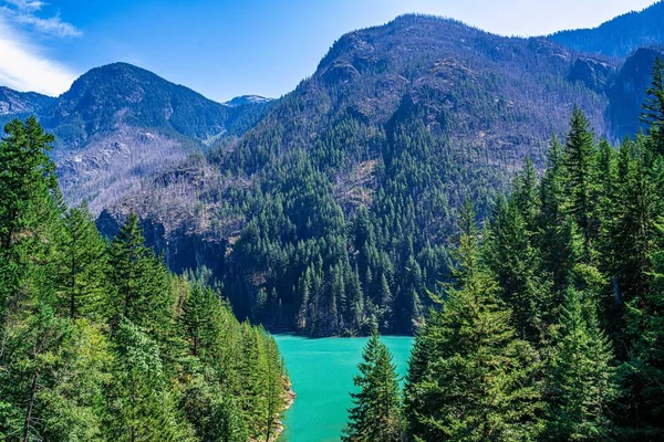 Kuzey Cascades NP, Washington manzarası