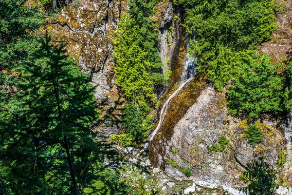 Kuzey Cascades Washington Doğaya Bakış Açısı — Stok fotoğraf