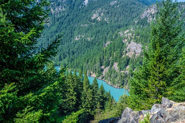 Kuzey Cascades NP, Washington 'da doğaya bakış açısı