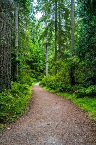 Whidbey Adası, Washington 'da muhteşem bir manzara.