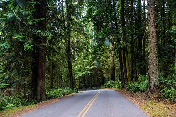 Long Way Road Going Whidbey Island Washington — Stockfoto