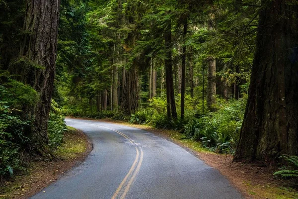 Long Way Road Going Whidbey Island Washington — Fotografia de Stock