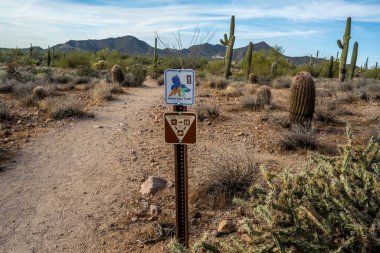 Kullanıcı Dağı Parkı, AZ, ABD - 22 Aralık 2021: Maricopa Dağı Patikası