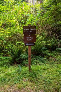 Whidbey Adası, WA, ABD - 20 Ağustos 2021: Manzaralı varış yerine giden farklı deneyler