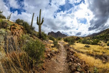 An overlooking view of Tonto National Forest, Arizona