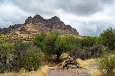 An overlooking view of Tonto National Forest, Arizona