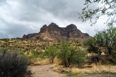 An overlooking view of Tonto National Forest, Arizona