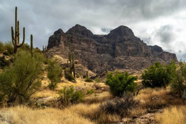 An overlooking view of Tonto National Forest, Arizona