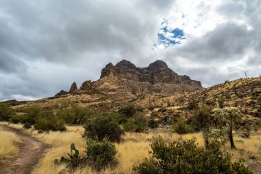 An overlooking view of Tonto National Forest, Arizona