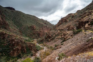 An overlooking view of Tonto National Forest, Arizona