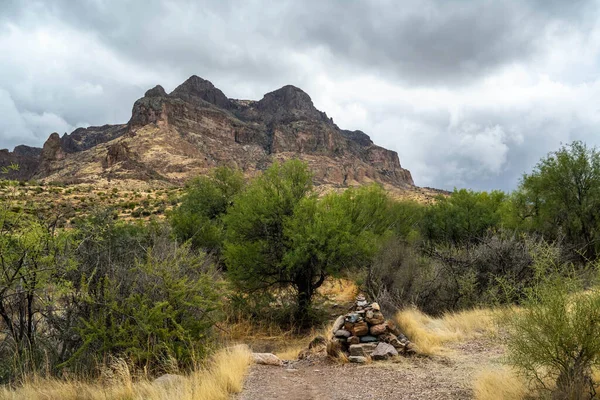 Overlooking View Tonto National Forest Arizona — Stockfoto