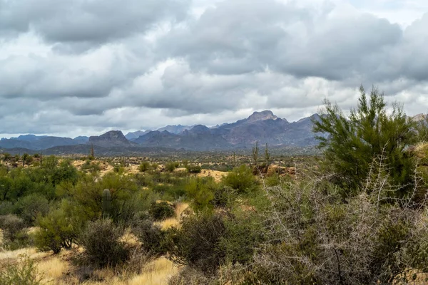 Overlooking View Tonto National Forest Arizona — Stock Photo, Image