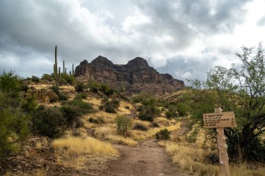 Tonto NF, AZ, USA - Dec 25, 2021: The different kinds of trials going to its scenic destination