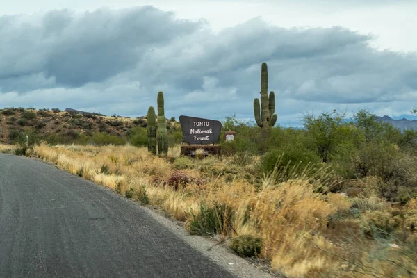 Tonto Usa Dec 2021 Welcoming Signboard Entry Point Park — 스톡 사진