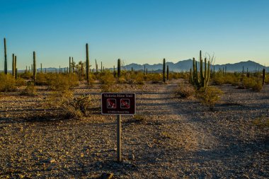 Organ Pipe NM, AZ, USA - Jan 20, 2022: The Victoria Mountain Trail