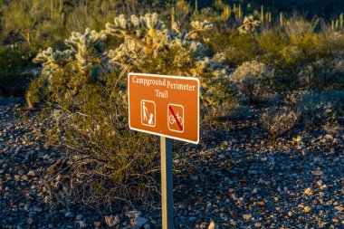 Organ Pipe, AZ, USA - Jan 20, 2022: The Campground Perimeter Trail