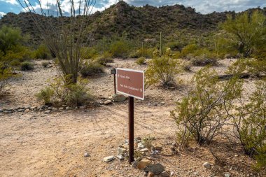 Organ Pipe NM, AZ, USA - Jan 22, 2022: The different kinds of trials going to its scenic destination
