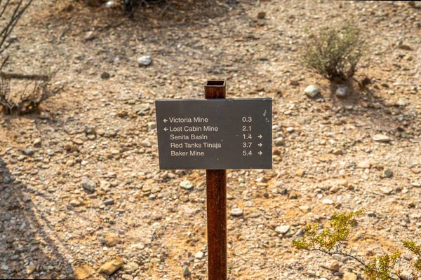 Organ Pipe Usa Jan 2022 Different Kinds Trials Going Its — Stockfoto