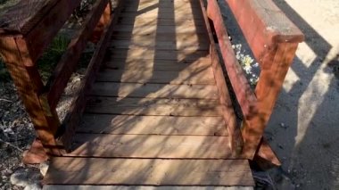 Tucson, Arizona 'da doğaya bakış açısı