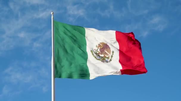 Флаг Развевающийся Вдоль Пирса Пуэрто Пеньяско Мексика — стоковое видео