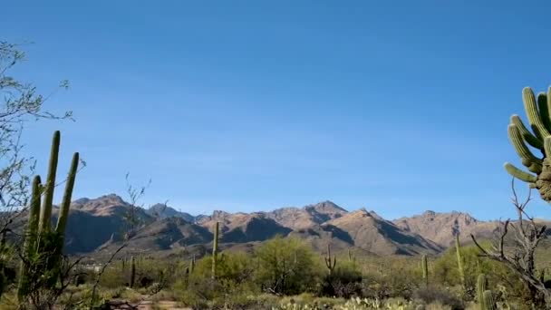 亚利桑那州图森市的自然景观 — 图库视频影像