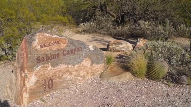 Uitzicht Natuur Tucson Arizona — Stockvideo